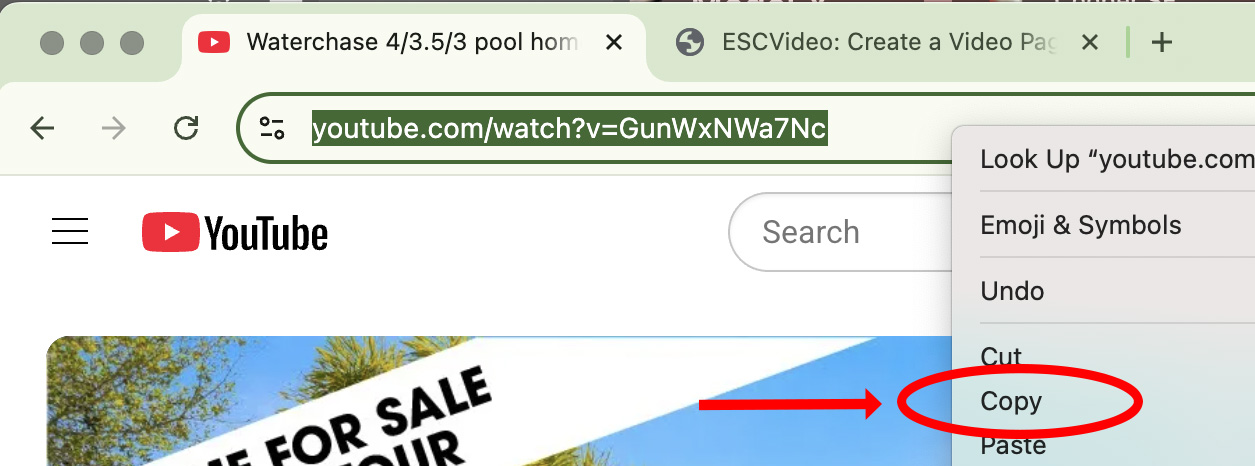 Chrome Example